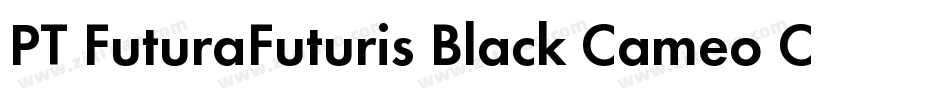 PT FuturaFuturis Black Cameo Cyrillic字体转换